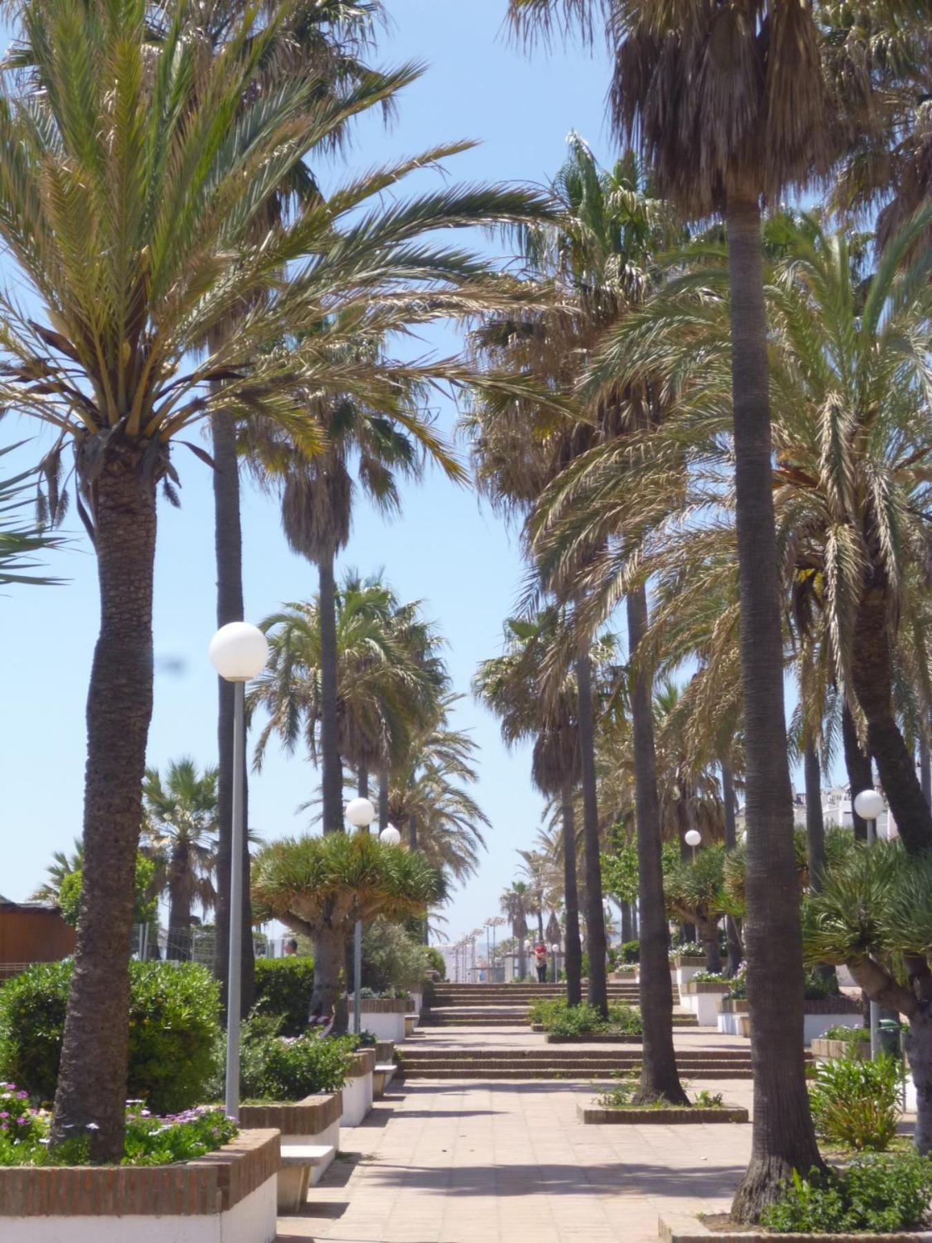 Marina Duquesa Apartemento 2110 マニルバ エクステリア 写真
